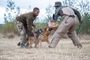 Chipembere K9 Unit Mastertons Coffee And Tea001